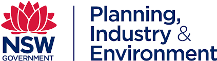 NSW Planning & Environment logo